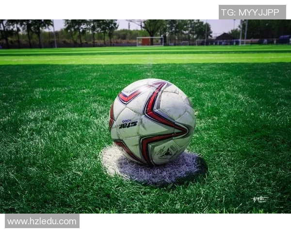 云豹足球：激情与梦想交织的绿茵场上演绎青春的无限可能与团结的力量