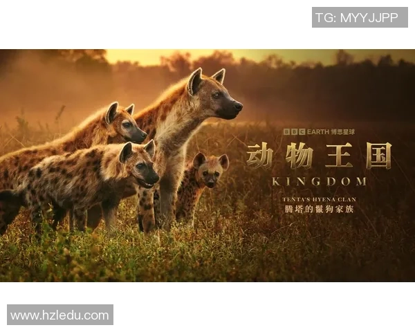 巴西足球左脚的传奇故事与技术解析探讨