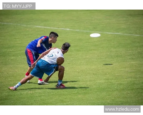 深圳飞盘队的节奏分析与战术探讨如何提升团队竞技水平与配合默契